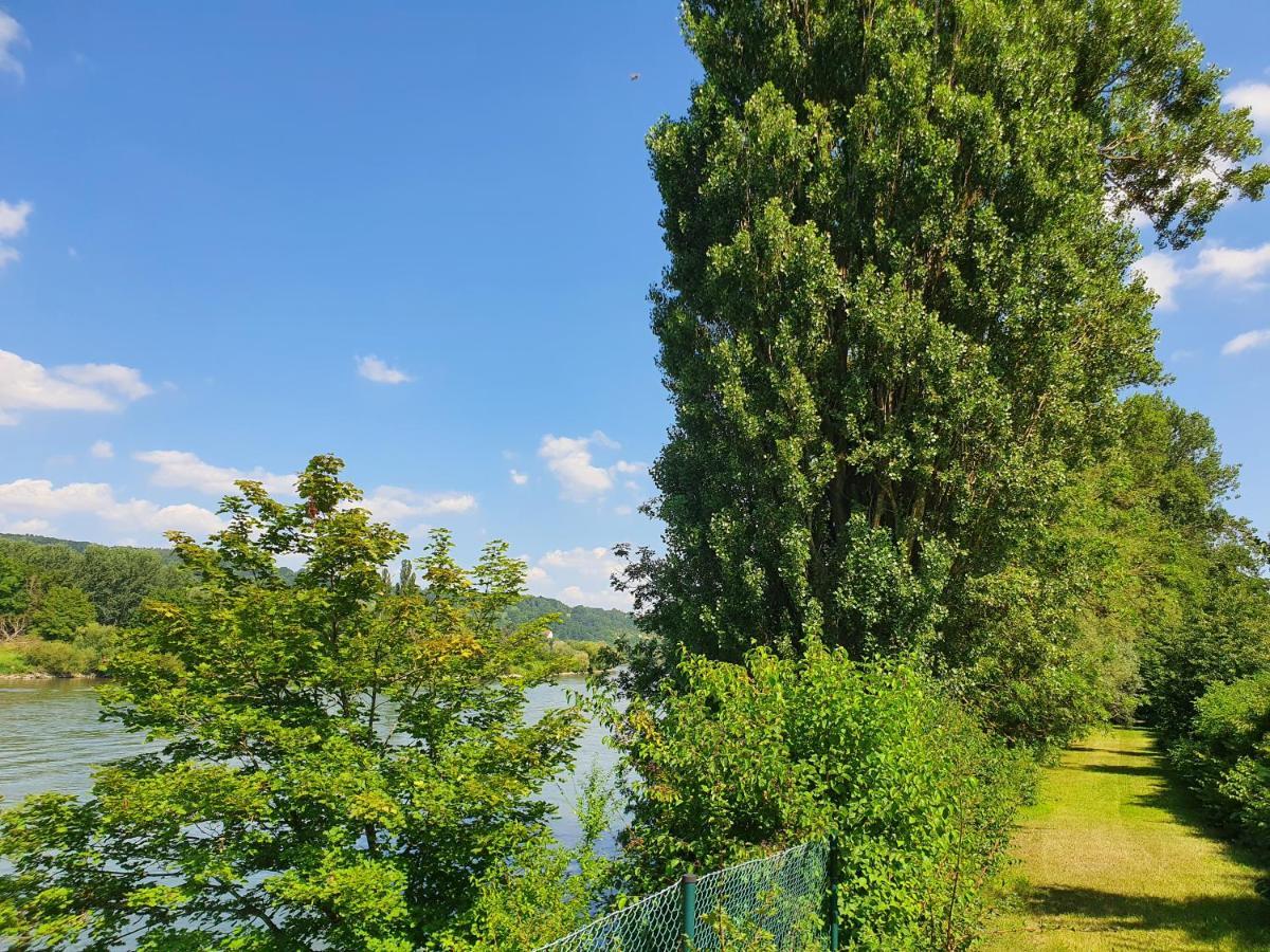 Ferienhaus Am Donauspitz Kelheim Exteriér fotografie